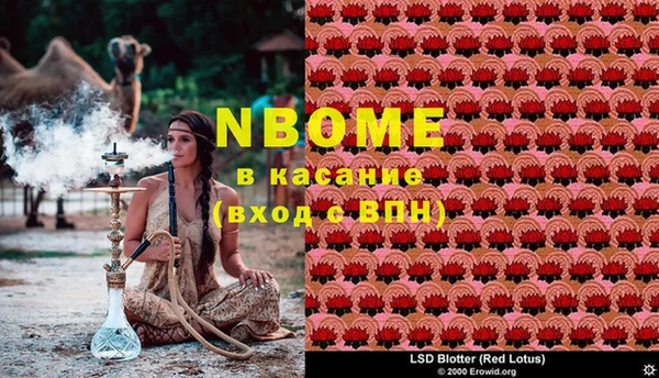 бошки Алзамай
