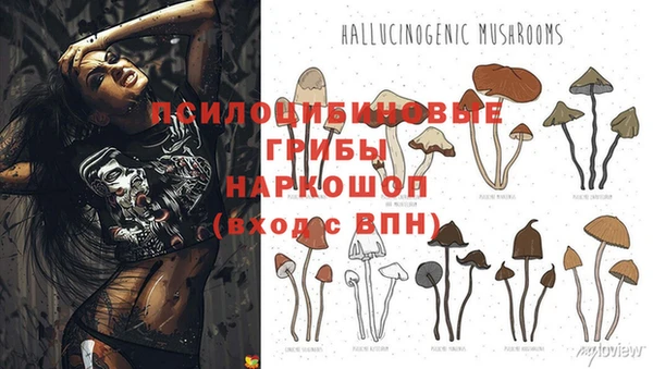 бошки Алзамай