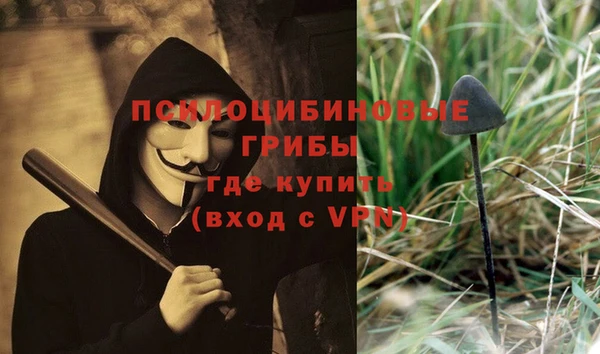 метадон Алексеевка