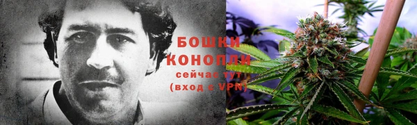 бошки Алзамай