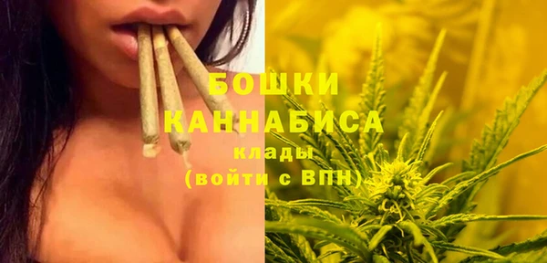 прущие крисы Гусиноозёрск