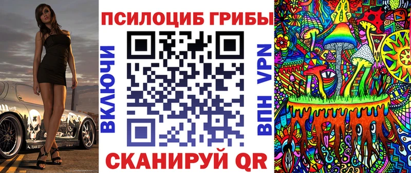 кракен зеркало  закладка  Калтан  Псилоцибиновые грибы Psilocybine cubensis 